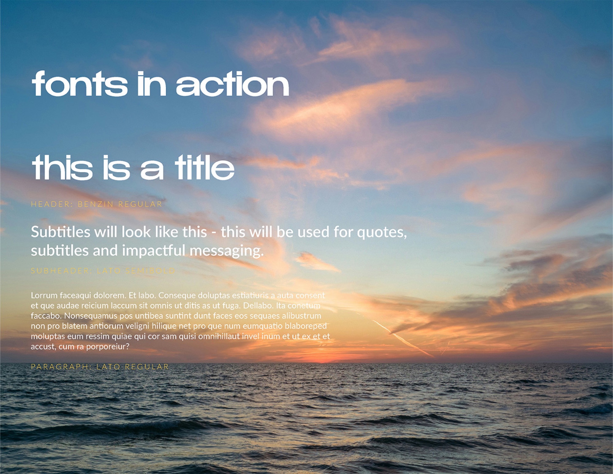 Sevinity — Brand Identity & Visual System — detail 3