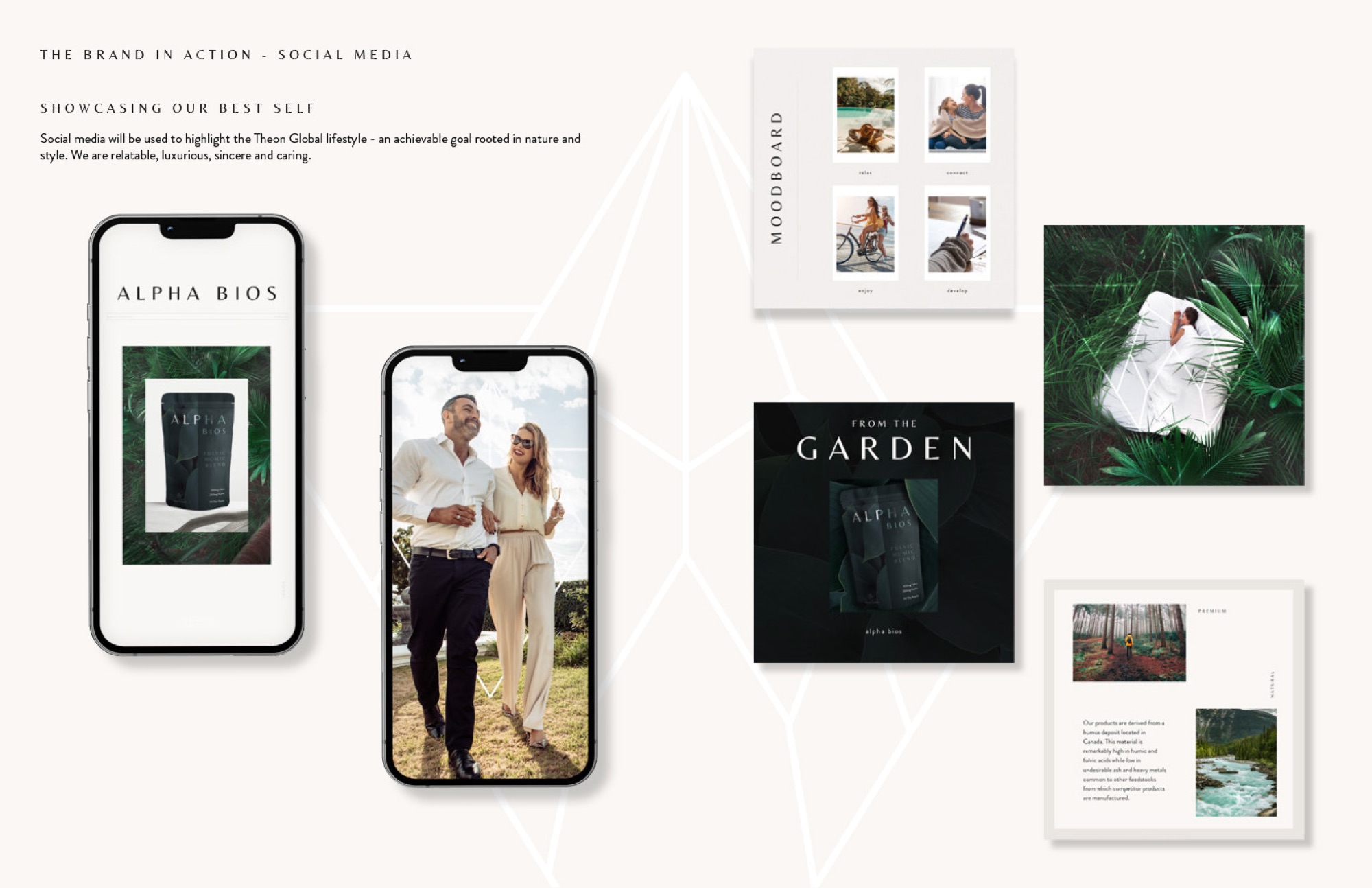 Theon Global — Brand Identity & Product Design — detail 2