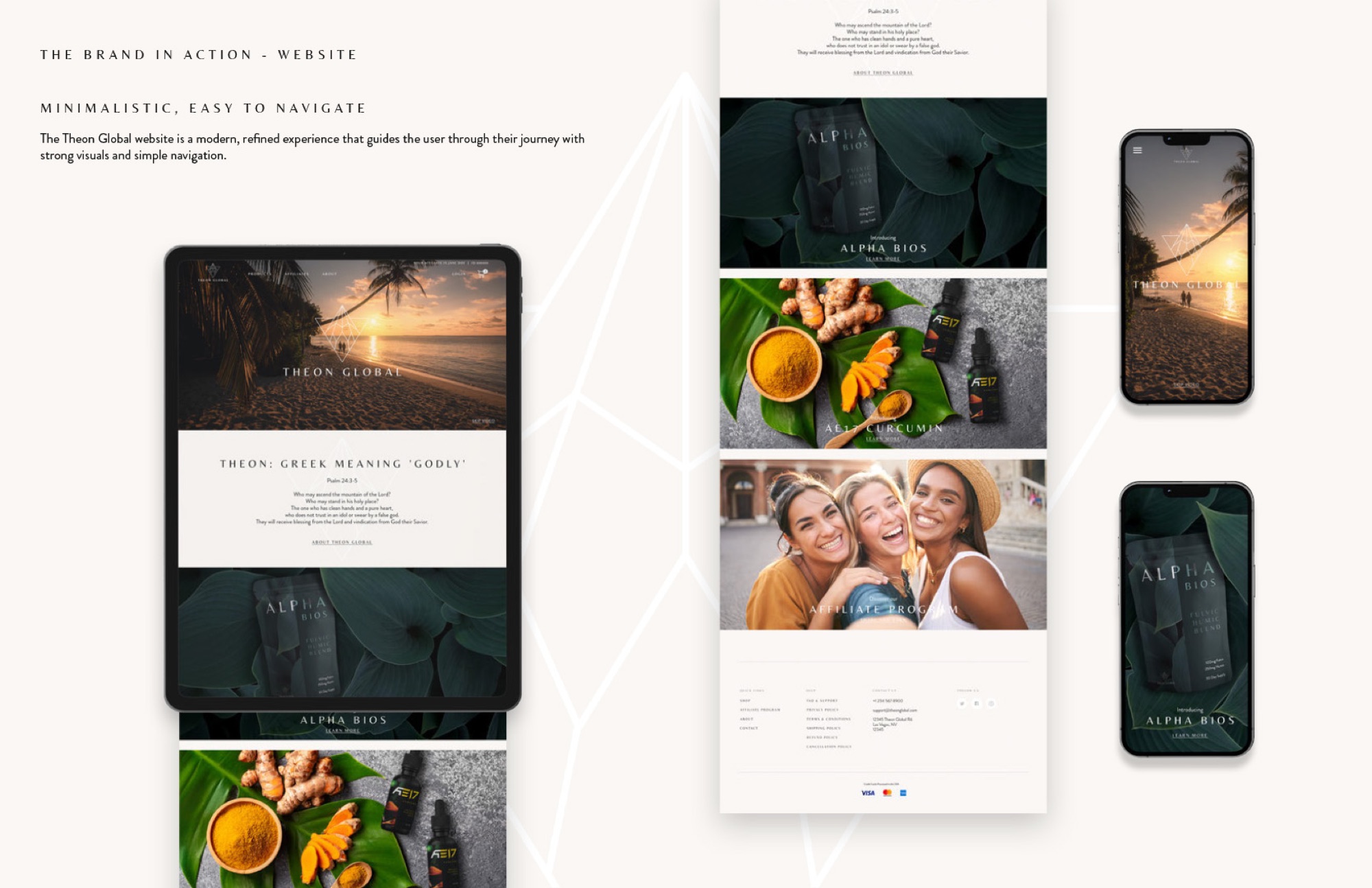 Theon Global — Brand Identity & Product Design — detail 3