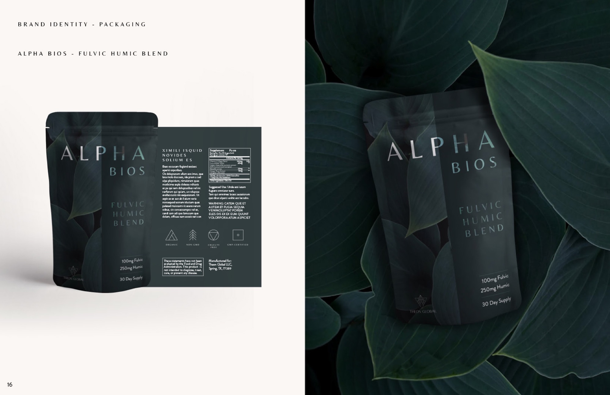 Theon Global — Brand Identity & Product Design — detail 4