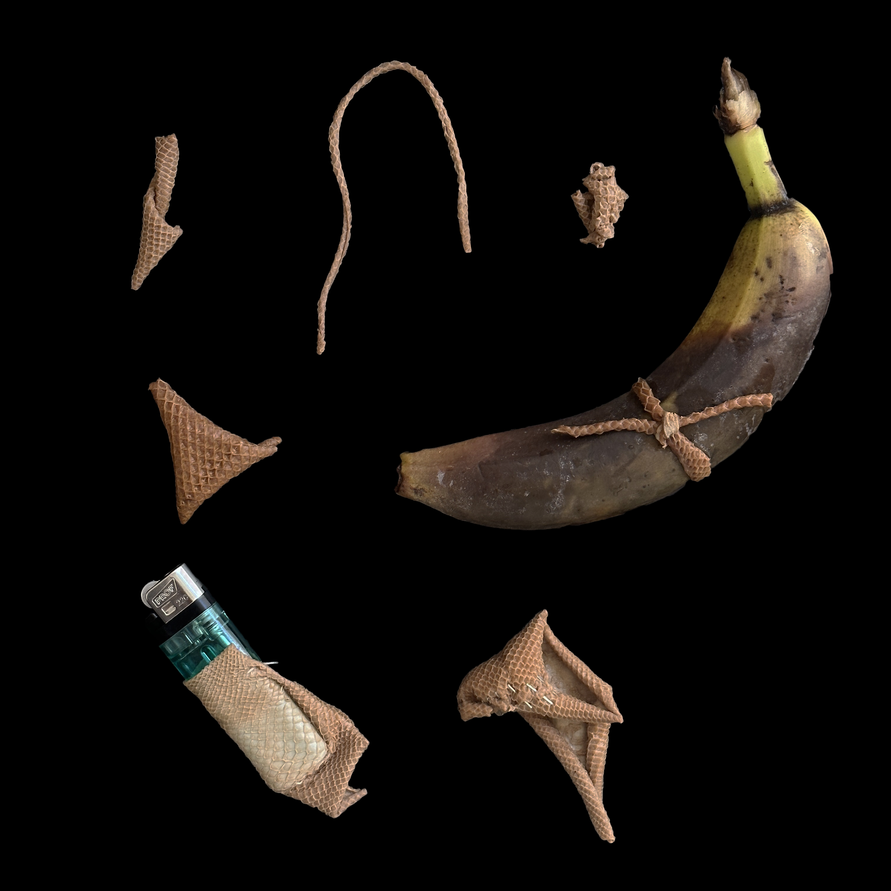 CURATORIAL DETAIL: Second Skin